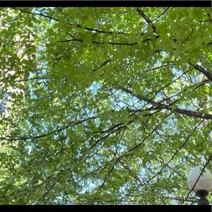 Meet your Posher, Cat